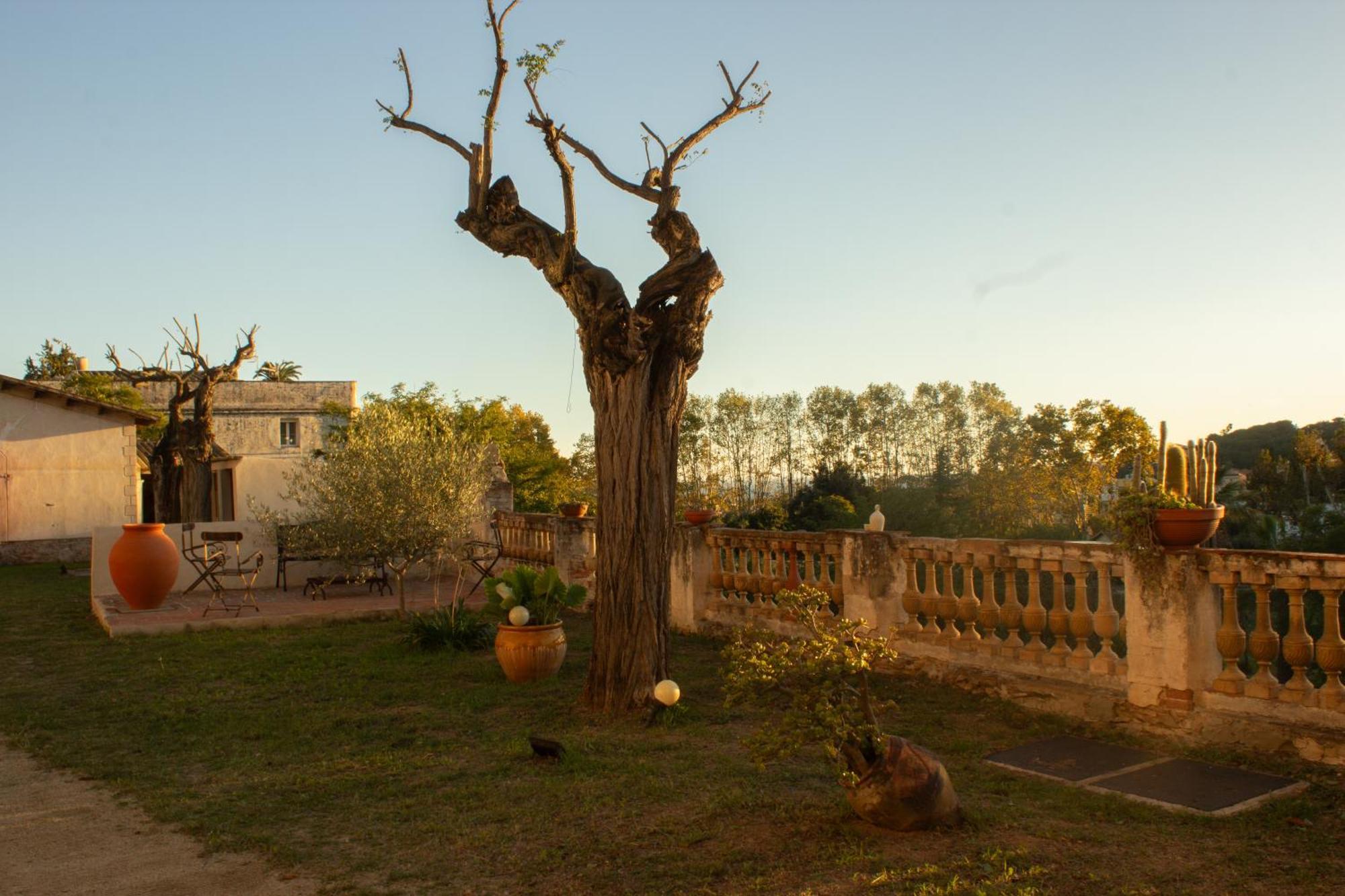 Can Rovira - Stunning Neoclassical Mansion, Just 20 Min Drive From Barcelona City Center, Ideal For Groups And Families Alella Eksteriør billede